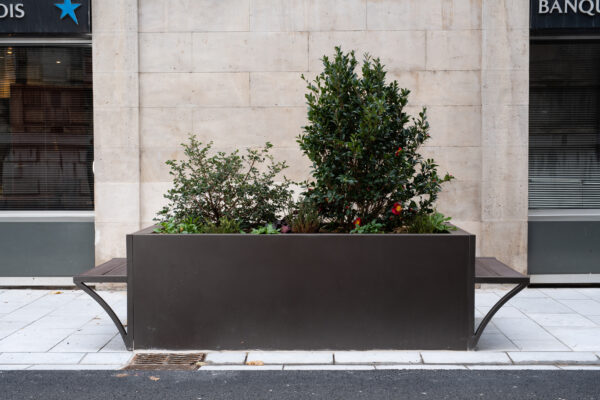 Jardinière CITADINE pour plantation en pleine terre mobilier urbain pour collectivités