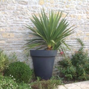 Demi-Pot MONCEAU 110L avec panier de culture